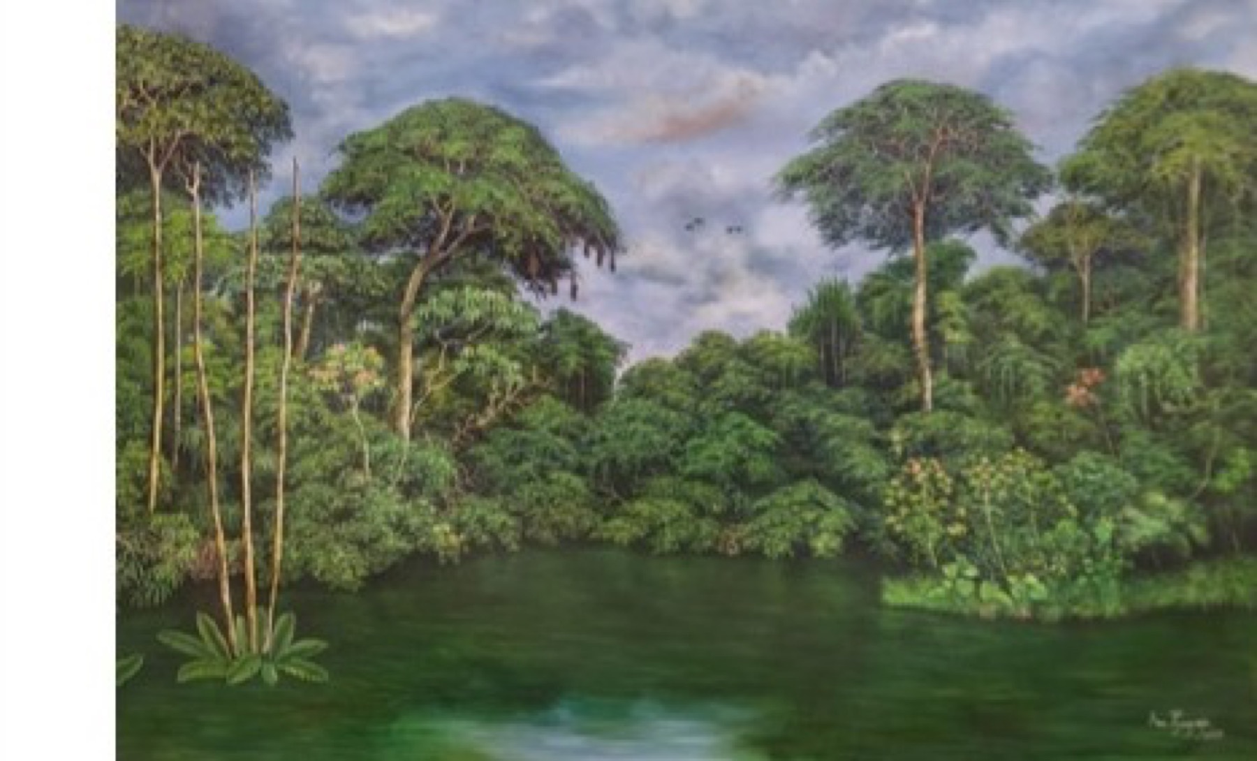 Amazonía 3 — Ana Piaguaje